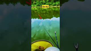 September 25 2024 new fishing reels  fishing skills  match fishing fishing bait carp fish [upl. by Akenot]