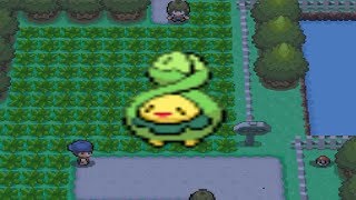 How to find Budew in Pokemon Diamond and Pearl [upl. by Ecirehc992]