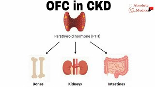 Osteitis Fibrosa Cystica in Chronic Kidney Disease  Part 1 [upl. by Iverson5]