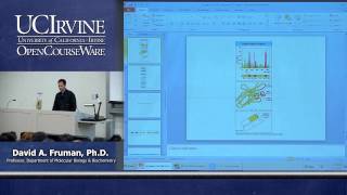 Biological Sciences M121 Immunology with Hematology Lecture 07 Antibody Structure amp BCells [upl. by Gerk]