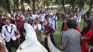 Shorts Amaizing Wedding Dance አዝናኝ የሰርግ ላይ ጭፈራዎች zagol Media [upl. by Refotsirhc982]