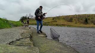 231 Flies That Catch Rod Bending Trout  Fly Fishing UK [upl. by Amian]