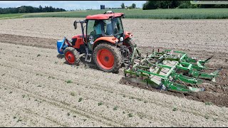 Kottmann Kartoffeln beim Kartoffeldämme anhäufeln 🥔🇨🇭🥔 [upl. by Kcirdderf668]