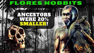 Homo Floresiensis  Where Did This Creature Come From [upl. by Ytiak]