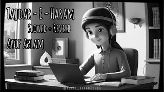 Tajdar  E  Haram  Slow amp Reverb Atif Aslam  Naat Song  Lofi  Coke Studio [upl. by Orlov]