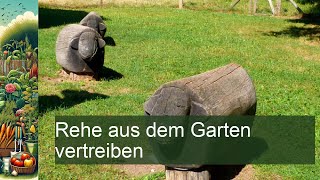 Rehe aus dem Garten vertreiben [upl. by Fechter595]