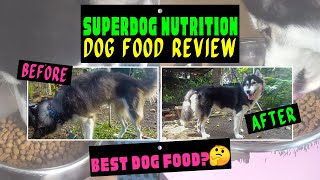 SUPERDOG NUTRITION DOG FOOD REVIEW [upl. by Baillieu]