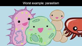 Symbiosis Song A lullaby for parasites [upl. by Parks]