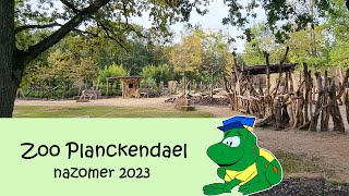 Zoo Planckendael nazomer 2023 [upl. by Aisyle]