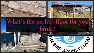 Whats the best substrate to use for my birds Bird Brains Podcast Episode44 [upl. by Sender]