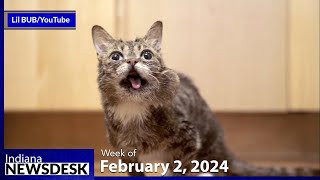 Lil BUB’s legacy lives on in Bloomington [upl. by Vail]