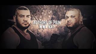 WWE The Authors Of Pain Theme Song Pain  Arena Effects [upl. by Wye]