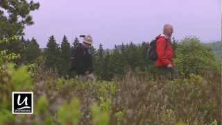 Wandern in Willingen  Kurzfilm [upl. by Dahsra]