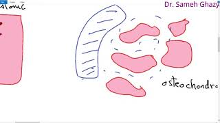 Systemic pathology 31  bone 1  bone tumors 1  DRSAMEH GHAZY [upl. by Aimej]