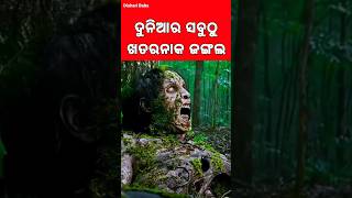 ଆମାଜନ୍ ଜଙ୍ଗଲ ର ରହସ୍ୟ  The secret of Amazon Forest [upl. by Naoh]