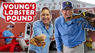 🔥 Unearthing Maines Finest Lobster Feast At Youngs Lobster Pound 🦞 [upl. by Ransome]