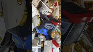 ストライクフリーダムガンダム Strike Freedom  Bandai Spirits Hobby Exhibition amp GUNPLA BUILDERS WORLD CUP GBWC [upl. by Franzen684]