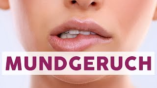 Tipps gegen Mundgeruch  BESSER LEBEN [upl. by Marysa994]