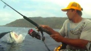 Leaping Shark Steals Scared Fishermans Catch  Funny Video  HD [upl. by Tinor]