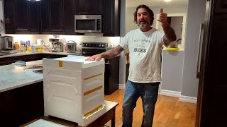 How To Assemble the 10 Frame BeeBox EPS Beehive from Paradise Honey [upl. by Kano]