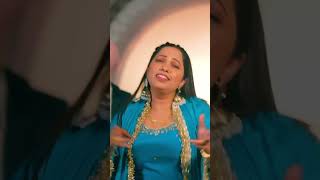 Balkar Ankhila Manjinder Gulshan Song Chitta 2 Banjo Session Rinku Romana [upl. by Nivac798]