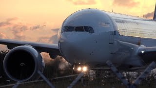 Sunset Planespotting Pilot Wave am Abend AeroLogic B777F [upl. by Ahsilac]