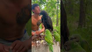 Men see eagle eggs in nests and parrotspart02wildlife parrot baby love eagle beautiful [upl. by Hinkel]