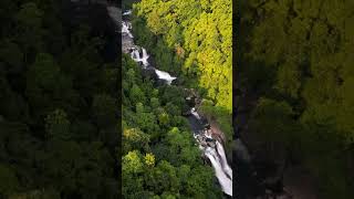 Secret Waterfall in Kitulgala Rainforests [upl. by Carri992]