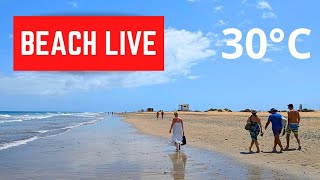 🔴🌡️LIVE Playa del Ingles Beach August 30 2024 Nudist Area [upl. by Adabel]