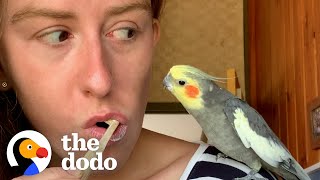 16YearOld Cockatiel Needs Emotional Support Mug  The Dodo [upl. by Luigi]