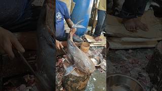 Fish Cutting Skills  Amazing Huge Marine Rita Catfish Cutting Live  shorts fish fishing food [upl. by Calesta]