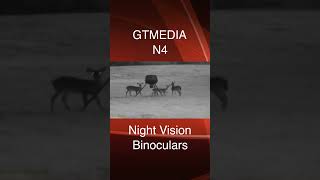 GTMEDIA N4 Night Vision Binoculars  Quick Look [upl. by Stuckey]