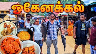 🔥ஒகேனக்கல் கொண்டாட்டம்  ஒகேனக்கல் அருவி  HOGENAKKAL FALLS  FISH FRY  FISH RECIPE KARNATAKA  K7 [upl. by Anneuq]