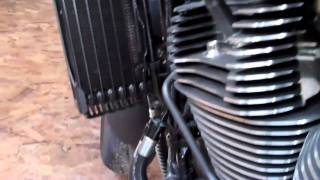 Harley Davidson XR1200x 5K service Part 2 of 3 [upl. by Behlke]