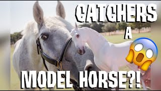 CATCHER GOT TURNED INTO A MODEL HORSE [upl. by Emanuel53]