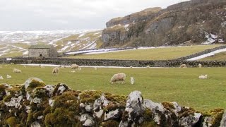 Yorkshire Dales Country Walk  Upper Wharfedale  KettlewellArncliffeLittondale round [upl. by Trebmal]