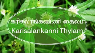 Karisalankanni Thylam கரிசலாங்கண்ணி தைலம் Part 12  Preparation and Uses Tamil [upl. by Neiman]