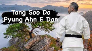 Tang Soo Do Form 5 Pyung Ahn E Dan [upl. by Vallery906]