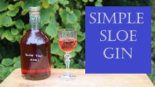 Simple Sloe Gin Recipe  in 3 minutes flat [upl. by Ynagoham880]