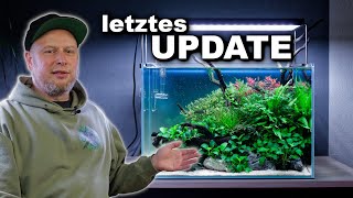 45p NATURE AQUARIUM letztes Update nach EINEM JAHR Laufzeit  JR Aquascaping [upl. by Ardnaid256]