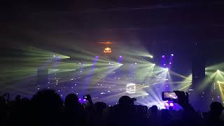 Marshmello  MrBrightside  The Killers  Beatpatrol Festival [upl. by Newcomb]