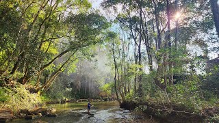 Camping at Ancamp  Lac Duong  Lam Dong Province [upl. by Ezequiel158]