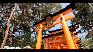 Fushimi Inari Shrine in 4K [upl. by Ternan180]