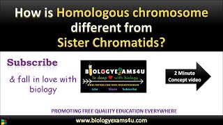 Difference between Homologous chromosome and Sister Chromatids biologyexams4u [upl. by Blaze]