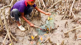 কাকড়া ধরে সাধ মেটেনি তাই আবার মাছও ধরলাম  Crab Catching in Mangrove ​⁠ANDAMANHUNTERS [upl. by Ardnik598]