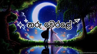 තරු වෙරළේ Lyrics Video by Gayantha Damith Asanka [upl. by Intyre]