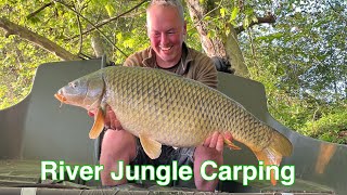 River Jungle Carp Fishing [upl. by Ydnagrub]