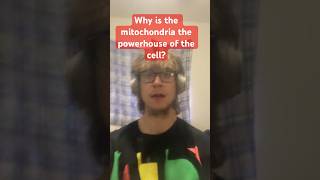 Why is the mitochondria the powerhouse of the cell mitochondria fyp powerhouse cell funfact [upl. by Katalin]