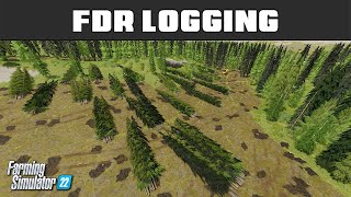 Feller Buncher Tips amp Tricks Its All In The Hips  FDR Logging 6  Farming Simulator 2022 [upl. by Yesor]