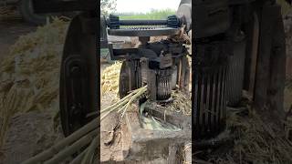 Traditional Jaggery Making  Jaggery Making Process from Sugarcane food shorts [upl. by Eelirem]